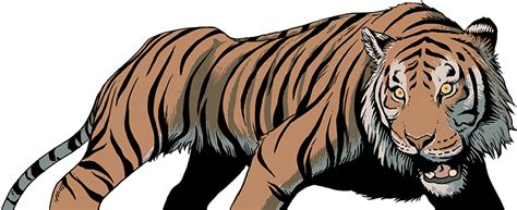 Clipart Tiger Wild Animals Tiger Png Download Full Size Clipart