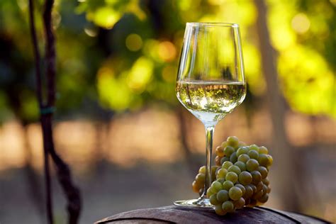 Get To Know About The Most Famous White Wine Financial Inclusion