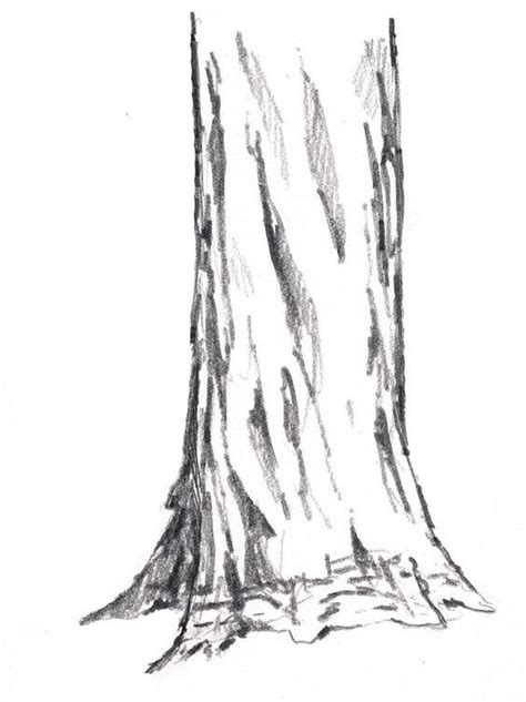 How To Draw Trees Vertical Cracks Tree Drawing Tree Trunk Drawing