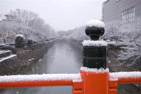 Jeffrey Friedls Blog Snowy Bridge In Kyoto