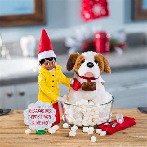 Can Dogs Touch Elf On The Shelf Brunokruwaustin