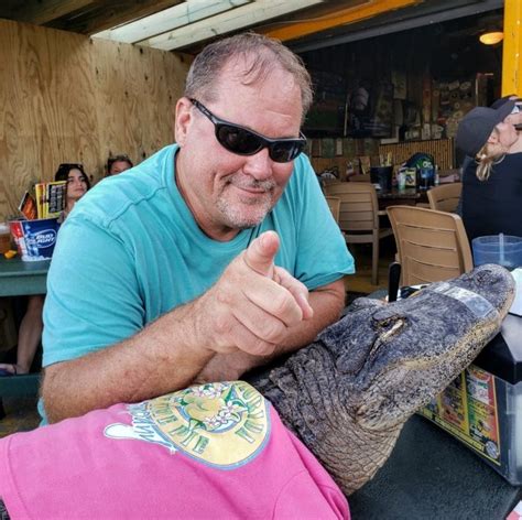 The Unexplained 6 Foot Alligator Named Sweetie Is A Viral Video Star