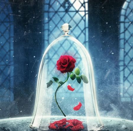 640 x 1138 jpeg 137 кб. Magical rose - Fantasy & Abstract Background Wallpapers on ...