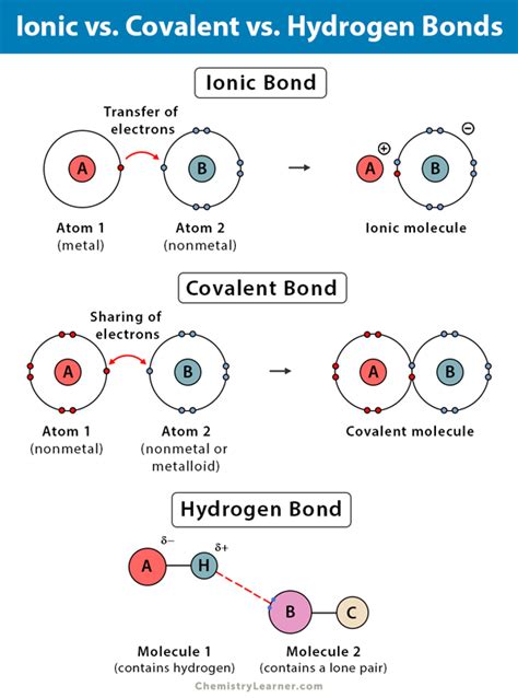 How Does Soap Affect Hydrogen Bonds Between Water Molecules
