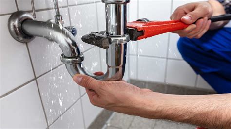 Does your plumbing system need repair or upgrade? Choosing The Best Plumber For The Job - Embark Project ...