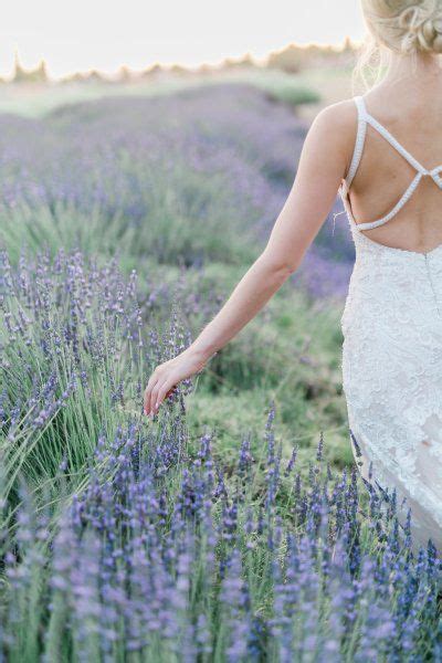 Highland Springs Farm A Wedding In Fields Of Lavender All About