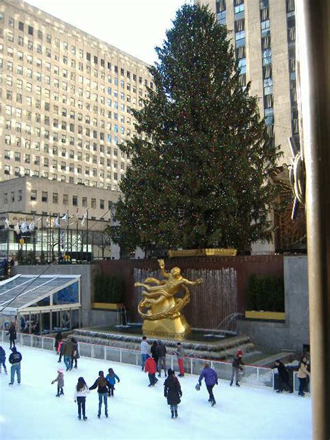 See reviews and photos of tours in new york on tripadvisor. New York City Christmas Guided Sightseeing Tour