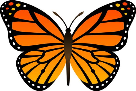 Orange Monarch Butterfly Vector - Free Clip Art