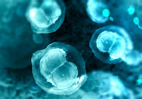 Study Hydrogels Put Stem Cells To Sleep