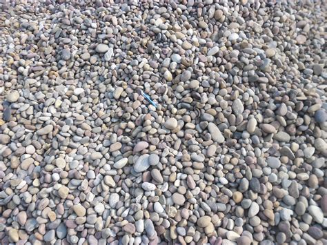 Multicolor Round Shape Mix Color Pebble Stone For Landscaping Rs 690