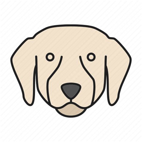 Breed Dog Doggy Labrador Pet Puppy Retriever Icon Download On