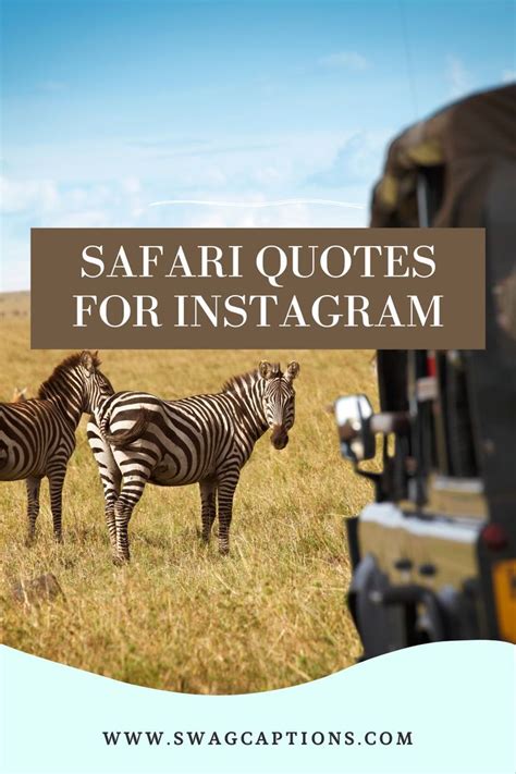 Best Safari Captions And Quotes For Instagram In 2023 Artofit