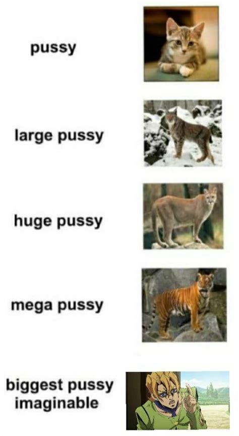 Pussy Large Pussy Huge Pussy Mega Pussy Biggest Pussy Imaginable Ifunny