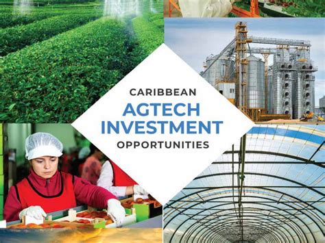 Caribbean AgTech Investment Summit CURALINK