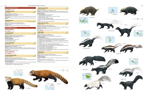 Illustrated Checklist Of The Mammals Of The World Naturbutiken