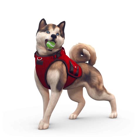 The Sims 4 Cats And Dogs New Screens And Renders