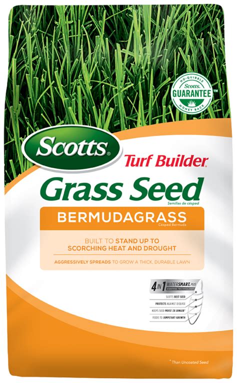 Bermuda Grass Seed Scotts Turf Builder Turf Builder Bermuda Grass