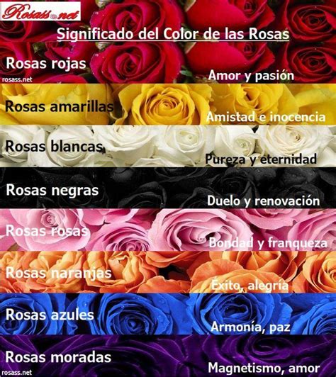 ⊛ Significado Del Color De Las Rosas【 Todos