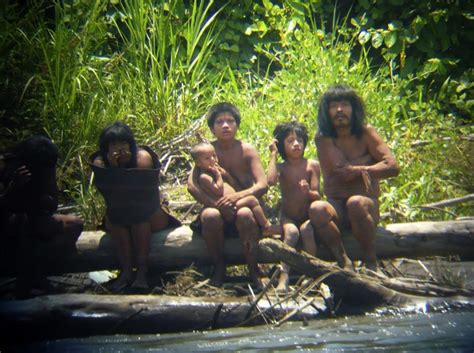 The Primitive Life Of Tribes In The Amazon Forest