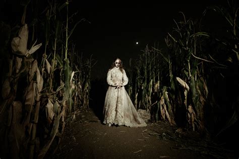 This Scary Haunted Corn Maze In Colorado Is Fun And Terrifying