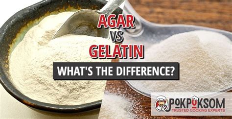 Agar Vs Gelatin Whats The Difference