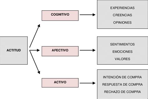 Componentes De La Actitud Download Scientific Diagram