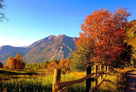 Sunlight Trees Landscape Forest Fall Hill Rock Nature