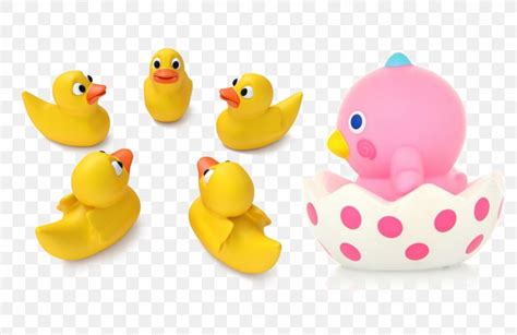 Little Yellow Duck Project Toy Rubber Duck Png 1154x750px Duck