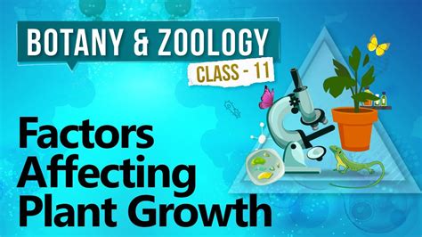Factors Affecting Plant Growth Plant Growth And Development Biology