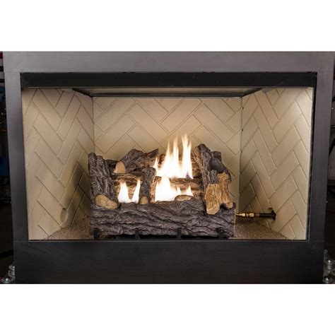 24 Elegant Ventless Gas Fireplace With Blower Fireplace Ideas