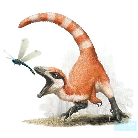 Daily Paleontology Post 16 The First Known Feathered Dinosaur
