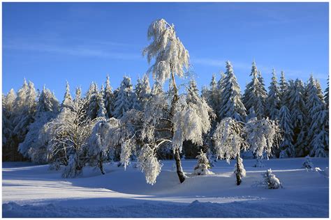 Winter Im Erzgebirge Foto And Bild Deutschland Europe Sachsen Bilder