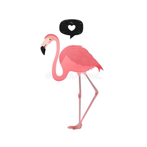 Flamingo Heart Icon Vector Illustration Pink Tropical Bird And Black