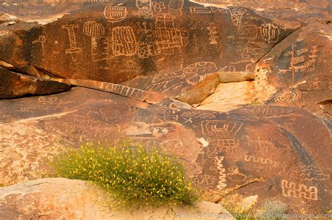 Petroglyph Photos By Ron Niebrugge