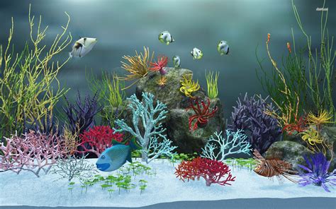 Moving Fish Aquarium Wallpaper Wallpapersafari Aquarium Picture For Kids