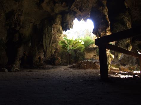 Free picture: cave, entrance, naracoorte, Australia