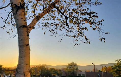 Maybe you would like to learn more about one of these? Sunsets and sunrises are always worth the wait... Dont ...