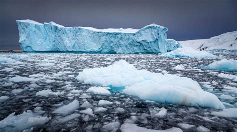 Los Glaciares De Groenlandia Elevan Los Niveles Del Mar Con Su Acelerado Derretimiento