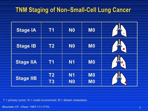 Lung Cancer Staging Tnm