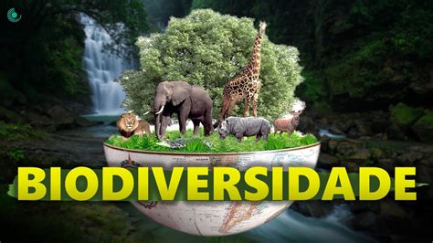 O Que é Sociodiversidade