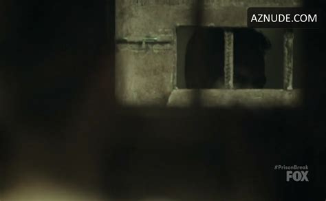 Tj Ramini Sexy Scene In Prison Break Aznude Men