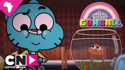 Introducing Darwin The Amazing World Of Gumball Cartoon Network