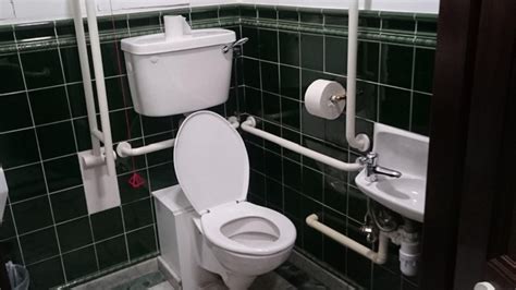 Accessible Toilets Top Tips Euans Guide