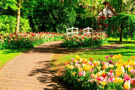 How To Make A Beautiful Flower Garden Image To U