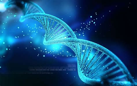 Understanding Consciousness And Dna In A Whole New Way Genetics Dna