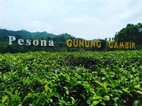 Ada banyak spot kece yang bisa kamu temukan di sini, seperti perumahan ala belanda, kincir angin alamat ice cream domino: Wisata Gunung Gambir
