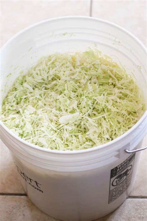 Homemade Sauerkraut Recipe Much Easier Than You Think Artofit