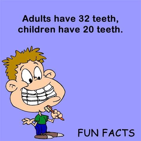 Dental Fact Adults Have 32 Teeth Children Have 20 With Images Dental Fun Facts Dental