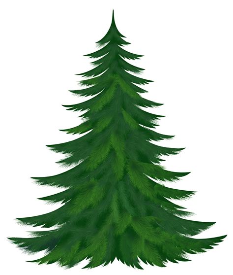 Best Pine Tree Clipart 24518
