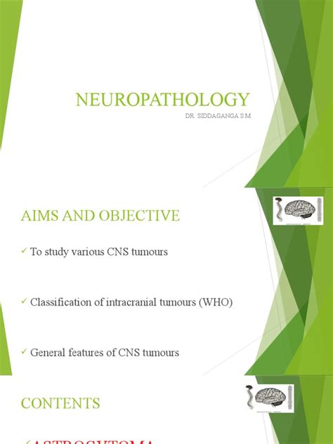 Neuropathology Dr Siddaganga S M Pdf Brain Tumor Central